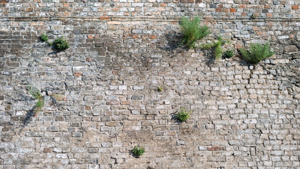 Stadtmauer Ludwigsburg